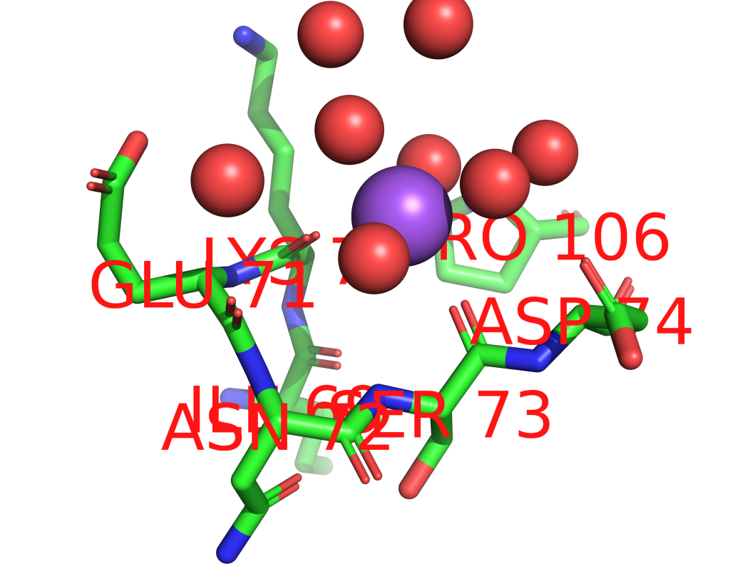 Sodium binding site 1 out of 4 in 3ff1 Sodium binding site 1 out of 4 in 3ff1